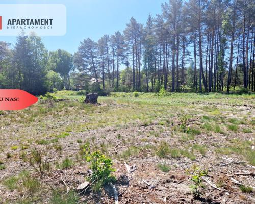 Działka budowlana otoczona lasem. Tylko u nas !!!