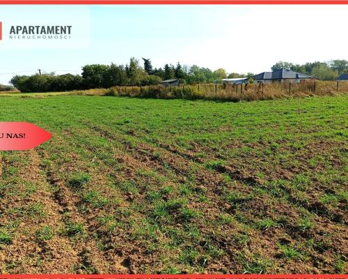 TYLKO U NAS - TOPORZYSKO 1557 CISZA SPOKÓJ