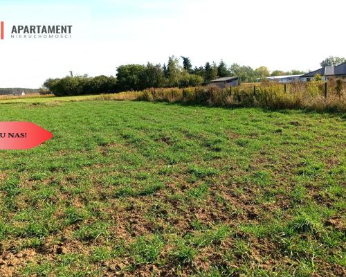 TYLKO U NAS - TOPORZYSKO 1557 CISZA SPOKÓJ