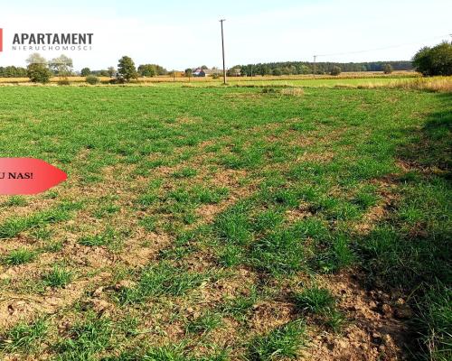 TYLKO U NAS - TOPORZYSKO 1557 CISZA SPOKÓJ