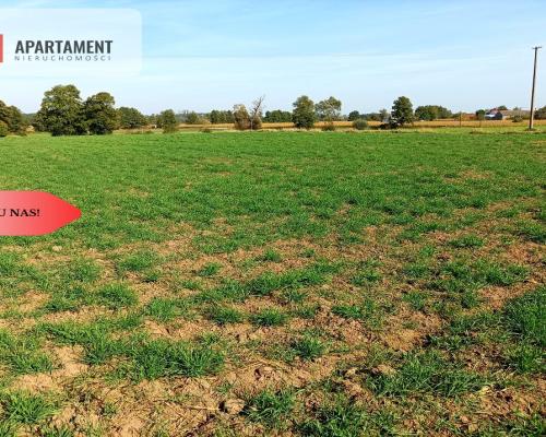 TYLKO U NAS - TOPORZYSKO 1557 CISZA SPOKÓJ