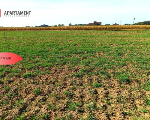 TYLKO U NAS - TOPORZYSKO 1557 CISZA SPOKÓJ