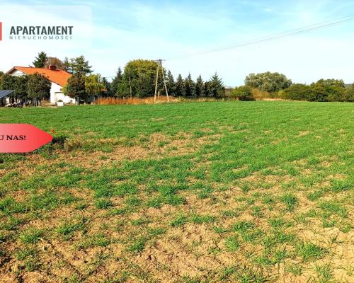 TYLKO U NAS - TOPORZYSKO 1557 CISZA SPOKÓJ