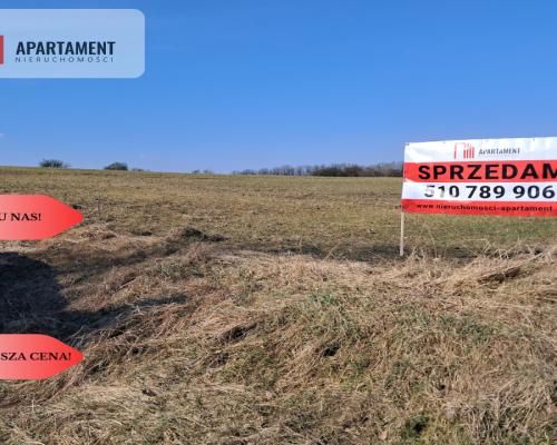 Działki z WZ - Zielonczyn