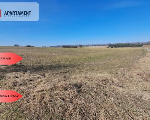 Działki z WZ - Zielonczyn