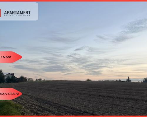 Działki z WZ - Zielonczyn