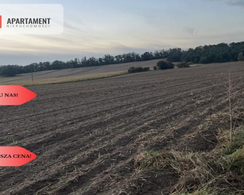 Działki z WZ - Zielonczyn
