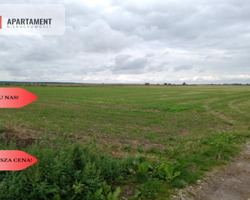 Działki z WZ - Zielonczyn