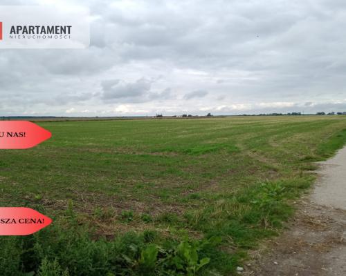 Działki z WZ - Zielonczyn