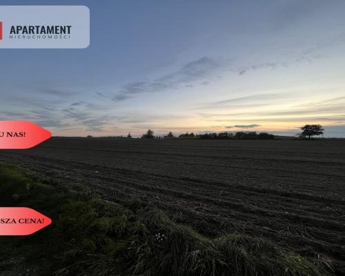 Działki z WZ - Zielonczyn