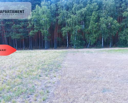 TYLKO U NAS !!! PIĘKNA OTULONA LASEM I C!SZĄ!