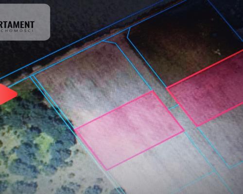 TYLKO U NAS !!! PIĘKNA OTULONA LASEM I C!SZĄ!