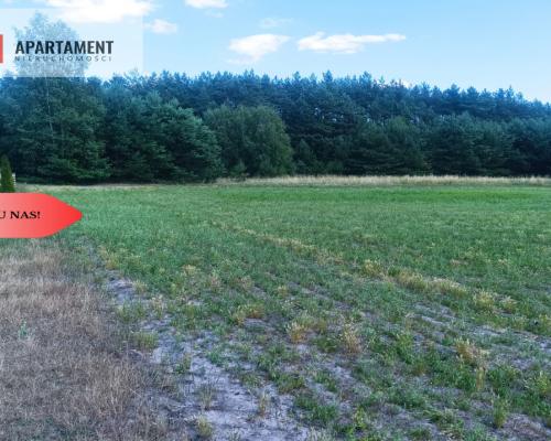 TYLKO U NAS !!! PIĘKNA OTULONA LASEM I C!SZĄ!