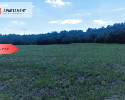 TYLKO U NAS !!! PIĘKNA OTULONA LASEM I C!SZĄ!