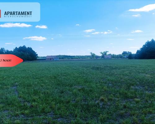 TYLKO U NAS !!! PIĘKNA OTULONA LASEM I C!SZĄ!