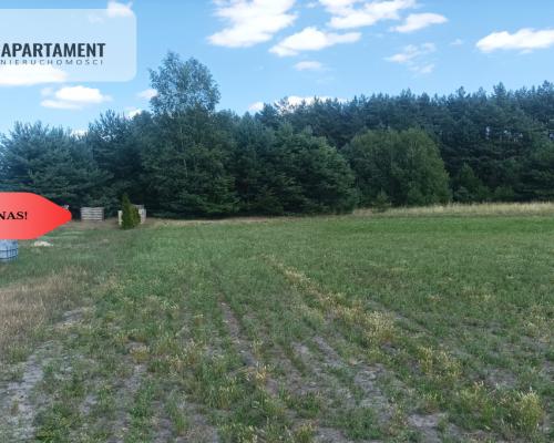 TYLKO U NAS !!! PIĘKNA OTULONA LASEM I C!SZĄ!