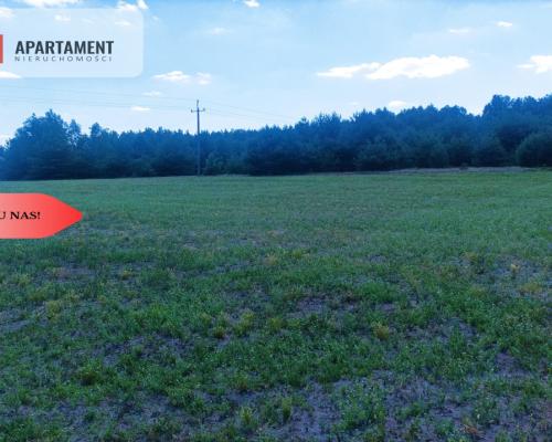 TYLKO U NAS !!! PIĘKNA OTULONA LASEM I C!SZĄ!