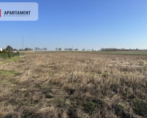 Działka budowlana w Ludomach