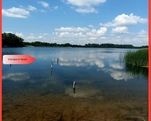 Sprzedaż praw do 2 działek ROD Łobżenica.