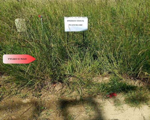 Sprzedaż praw do 2 działek ROD Łobżenica.
