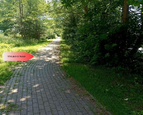 Sprzedaż praw do 2 działek ROD Łobżenica.