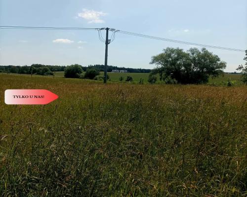 Sprzedaż praw do 2 działek ROD Łobżenica.