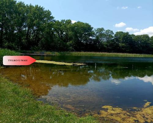 Sprzedaż praw do 2 działek ROD Łobżenica.