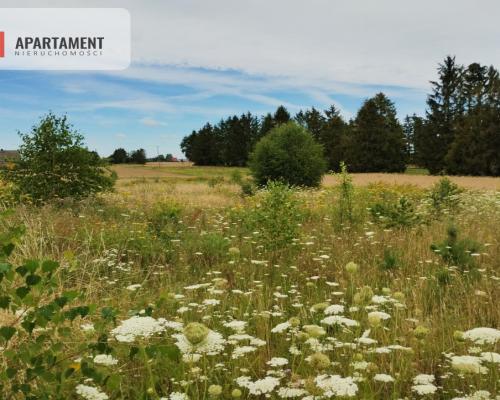 SPOKOJNA I ZIELONA DZIAŁKA BUDOWLANA