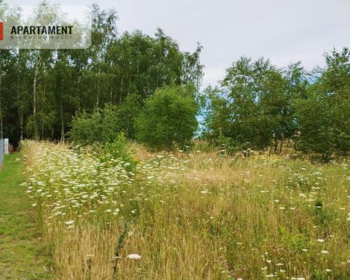 SPOKOJNA I ZIELONA DZIAŁKA BUDOWLANA