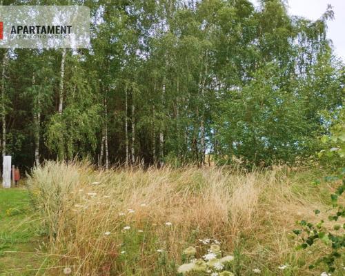 SPOKOJNA I ZIELONA DZIAŁKA BUDOWLANA