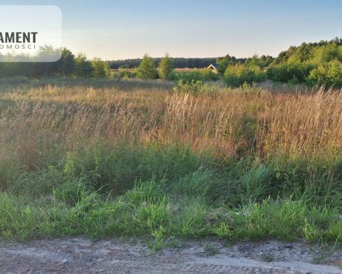 Z dala od zgiełku, z Warunkami Zabudowy