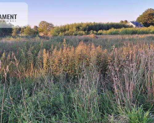 Z dala od zgiełku, z Warunkami Zabudowy
