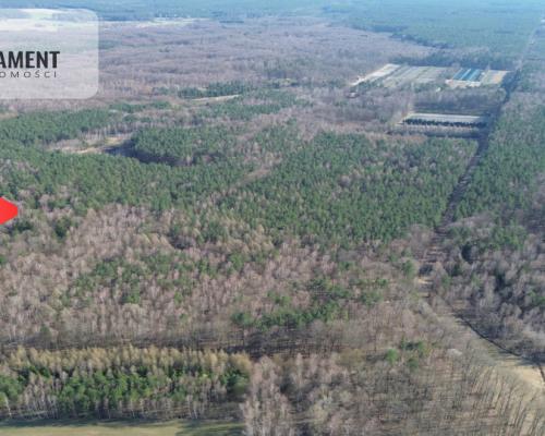 Działka budowlana  8700m2 WDA