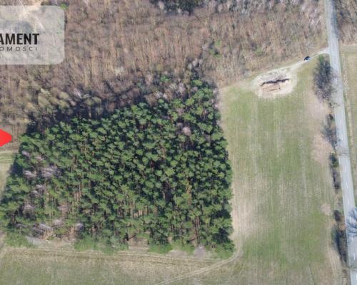 Działka budowlana  8700m2 WDA