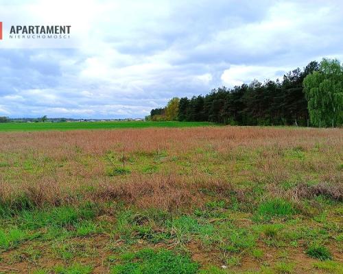 MORZEWIEC 1022m CISZA SPOKÓJ ŚCIANA LASU