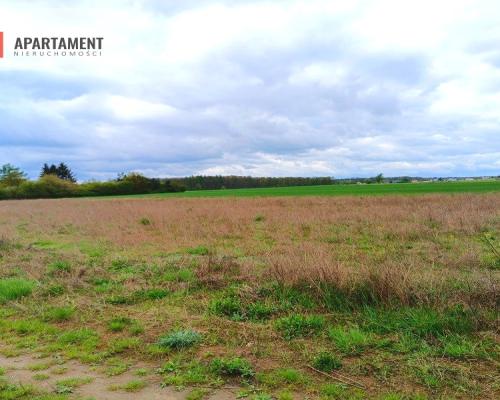 MORZEWIEC 1022m CISZA SPOKÓJ ŚCIANA LASU