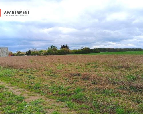 MORZEWIEC 1022m CISZA SPOKÓJ ŚCIANA LASU