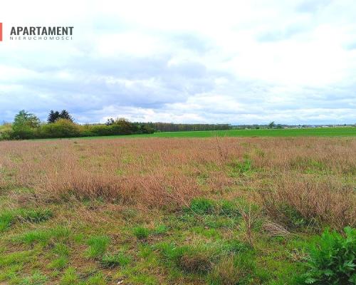 MORZEWIEC 1022m CISZA SPOKÓJ ŚCIANA LASU