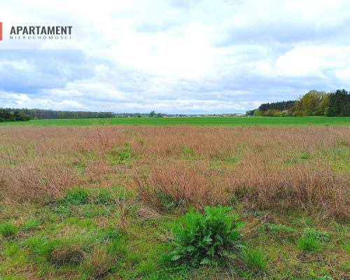 MORZEWIEC 1022m CISZA SPOKÓJ ŚCIANA LASU