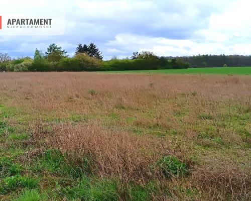 MORZEWIEC 1022m CISZA SPOKÓJ ŚCIANA LASU