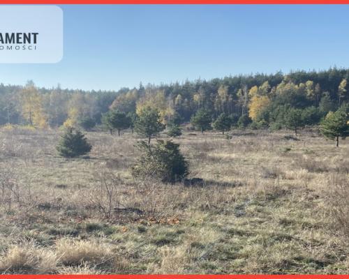 Działki -dostępne z pozwoleniami na budowe