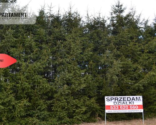 Tylko u nas!!Działki w górach z warunkami zabudowy