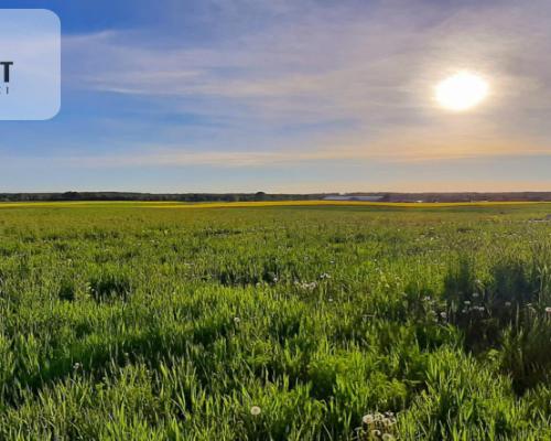 działka budowlana z projektem domu- Szałkowo