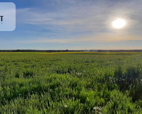 działka budowlana z projektem domu- Szałkowo