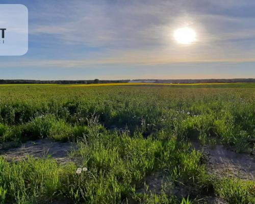 działka budowlana z projektem domu- Szałkowo