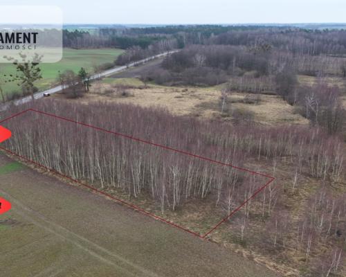* Działka 3000m2 z WZ Łąsko Małe KORONOWO