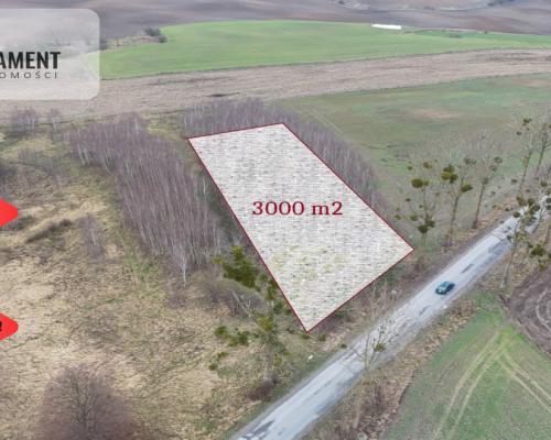* Działka 3000m2 z WZ Łąsko Małe KORONOWO