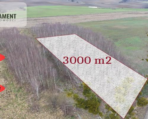 * Działka 3000m2 z WZ Łąsko Małe KORONOWO