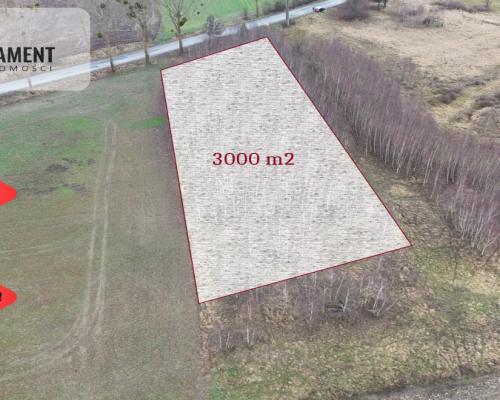 * Działka 3000m2 z WZ Łąsko Małe KORONOWO