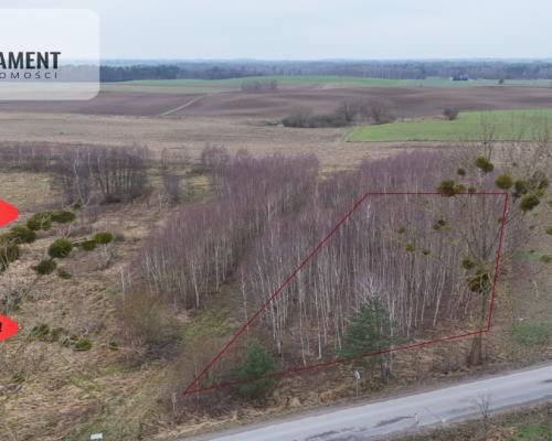 * Działka 3000m2 z WZ Łąsko Małe KORONOWO